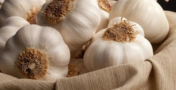 Sarımsak Tansiyon Kullanımı ve Faydaları Nelerdir?